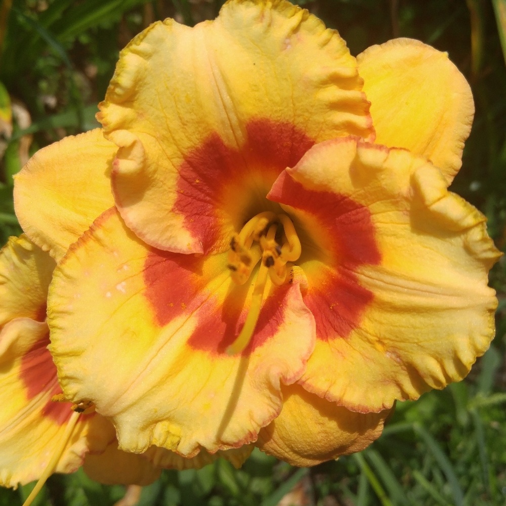 Meet your Posher, Laura